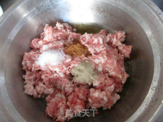 【jiangsu】lion Head in Tomato Sauce recipe