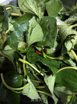 【sichuan】houttuynia Cordata recipe