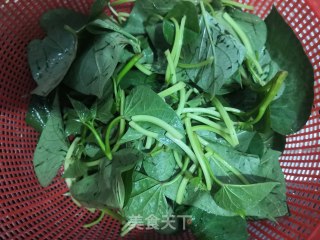 Garlic Sweet Potato Leaves recipe