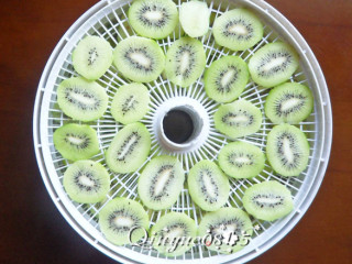 Homemade Dried Kiwi recipe