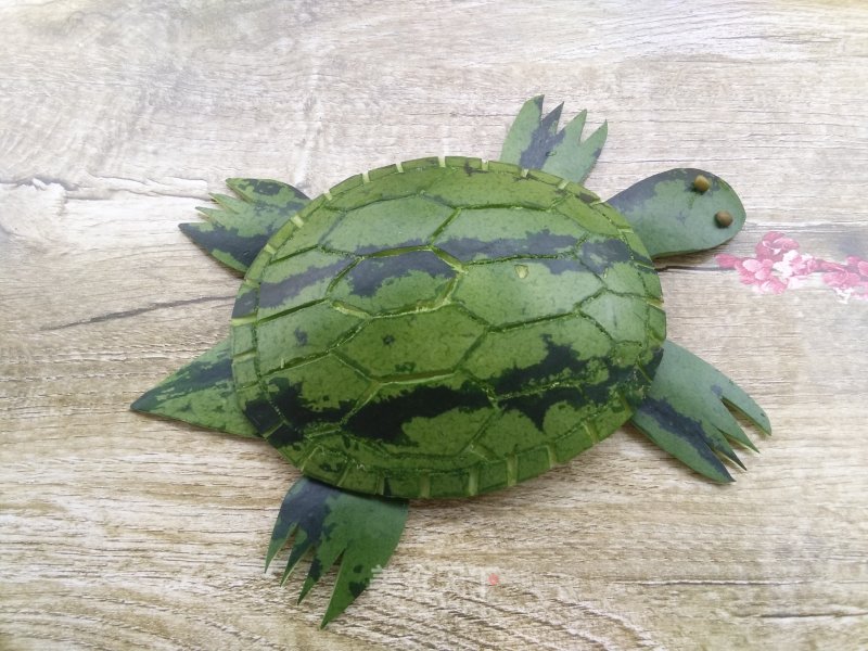 Little Turtle with Watermelon Peel