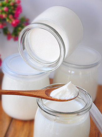 Homemade Delicious Bottled Yogurt recipe