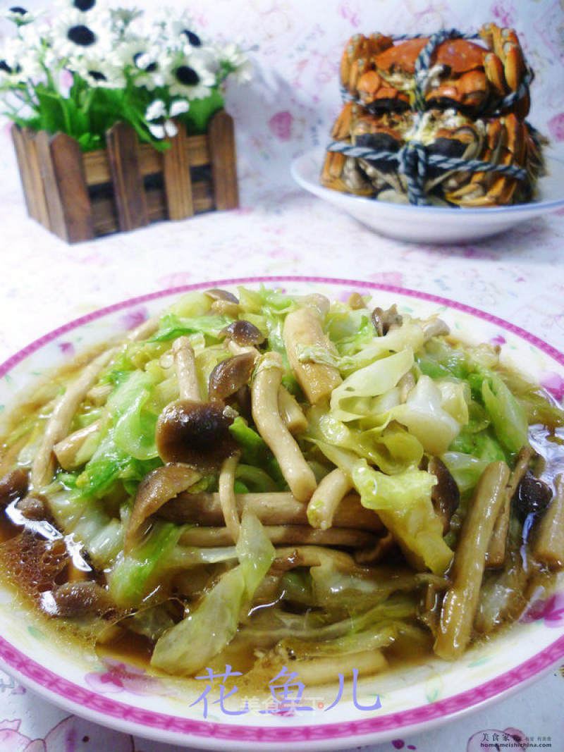 Stir-fried Beef Cabbage with Tea Tree Mushroom