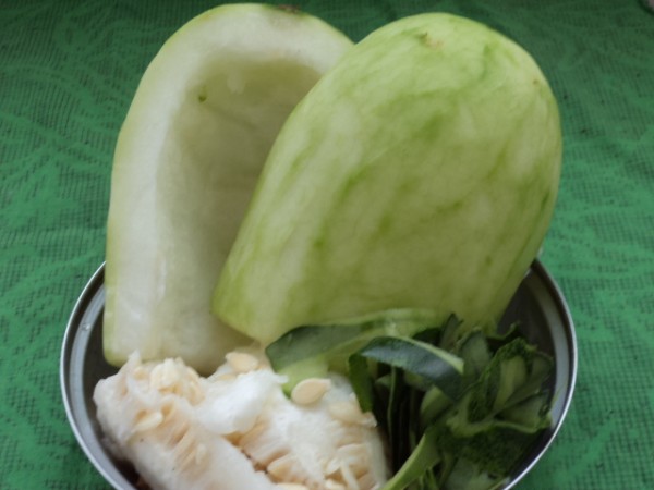 Duck Frame Winter Melon Soup recipe