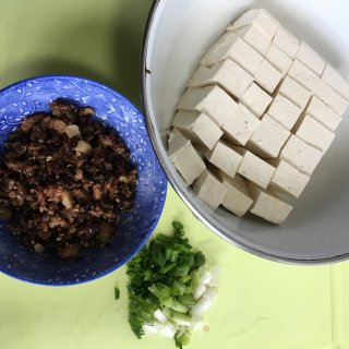 Braised Tofu with Mushroom Meat Sauce recipe