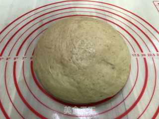 Salted Wheat Buns recipe