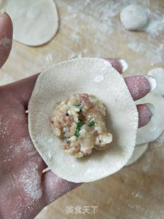 Shrimp Dumplings recipe