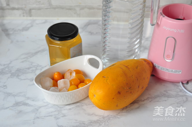 Papaya Millennium Juice recipe