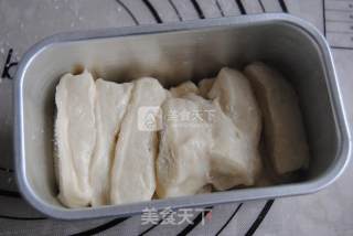 Coconut Shredded Bag recipe