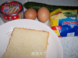 Nutritious Breakfast---tuna Sandwich recipe