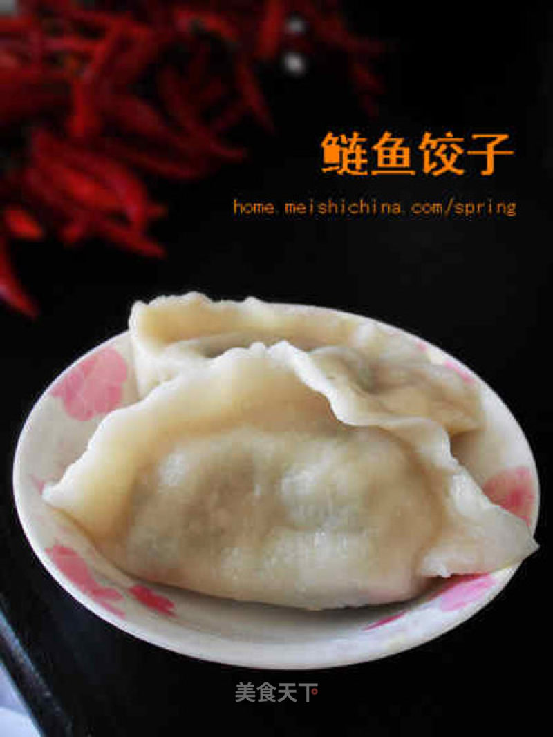 Silver Carp Dumplings