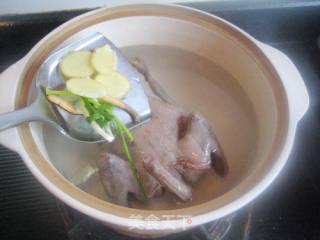 Stewed Pigeon with Eshen Mushroom recipe