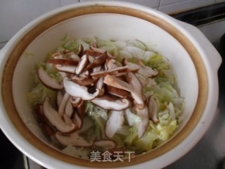Chicken Shredded Cabbage Tofu Soup recipe