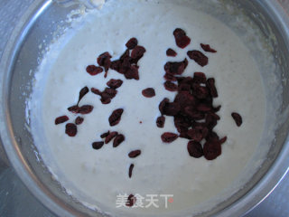 Cranberry Wheat Germ Ice Cream recipe