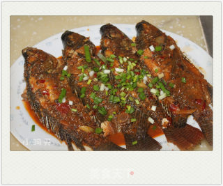 Braised Tilapia recipe
