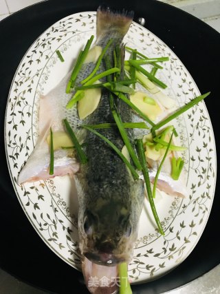 Steamed California Bass recipe