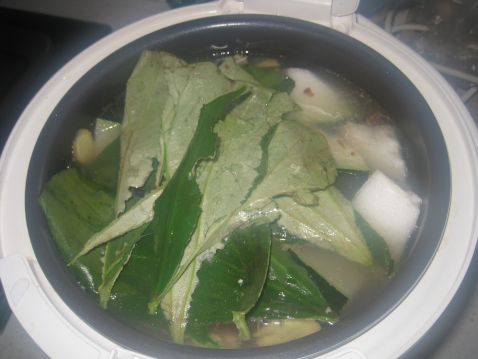 Lotus Leaf Winter Melon Fish Soup recipe