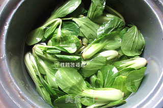 Salad Greens recipe