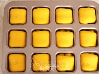 Whole Wheat Pumpkin Rolls recipe