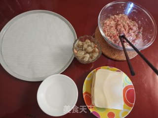 Shrimp Wonton recipe