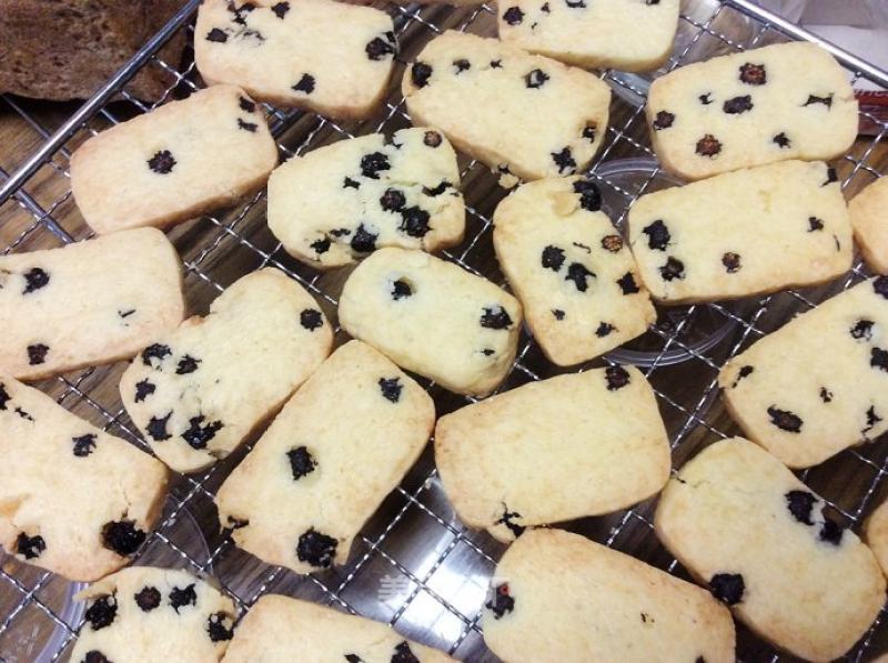 Frozen Sliced Fast Biscuits-blueberry Biscuits By: Special Writer of Blueberry Food