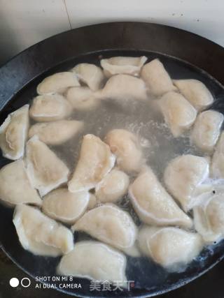 Tofu Dumplings and Melon Meat Dumplings recipe