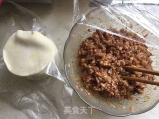 【jiangsu】pork Dumplings recipe