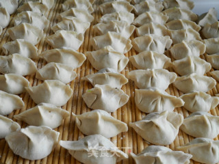 Cucumber Pork Fungus Dumplings recipe