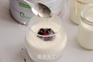 Homemade Yogurt recipe