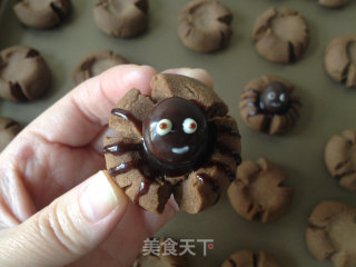 Spider Cocoa Biscuits recipe