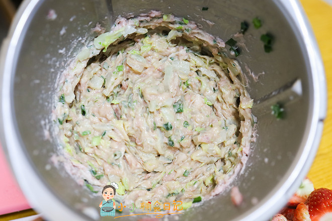 Supplementary Cabbage and Pork Dumplings Over 10 Months Old recipe