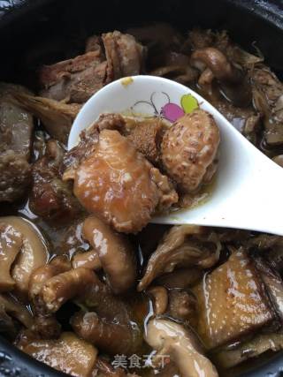 Chicken Stewed with Mushrooms recipe