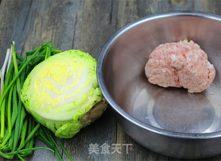 Cabbage Pork Box recipe