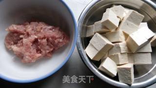 Braised Tofu with Minced Meat recipe