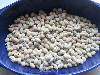 Homemade Soy Natto recipe