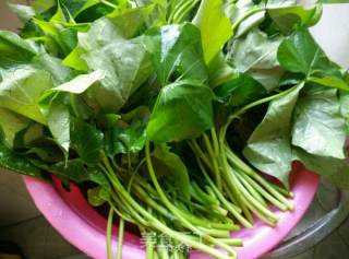 Stir-fried Sweet Potato Leaves with Garlic recipe