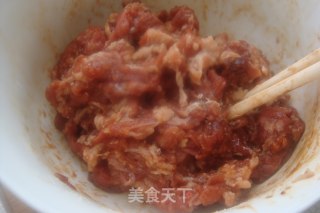 Don’t Treat Scallions As A Dish [scallions and Fat Beef] (little Er, Let’s Have Rice) recipe