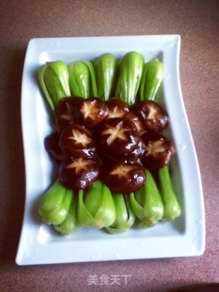 Stir-fried Shiitake Mushrooms with Abalone Sauce and Green Vegetables recipe