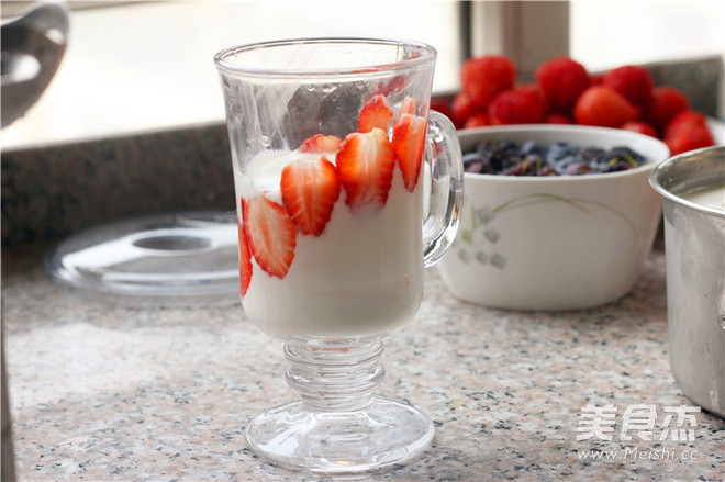 Yogurt Smoothie recipe