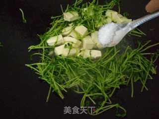 Stir-fried Tofu with Bean Sprouts recipe