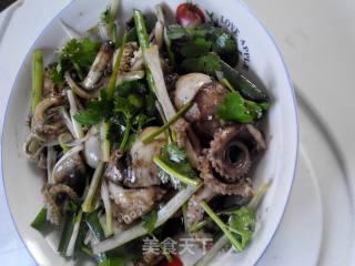 Octopus recipe