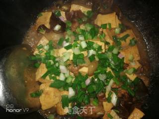 *reunion Rice* Braised Tofu recipe