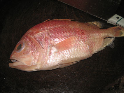 Braised Red Snapper recipe