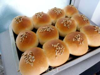 Sunflower Seed Bread recipe