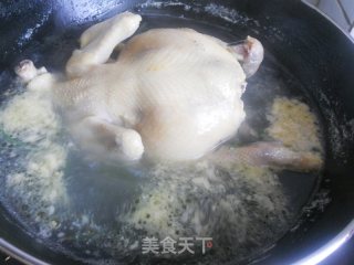 White Chicken recipe