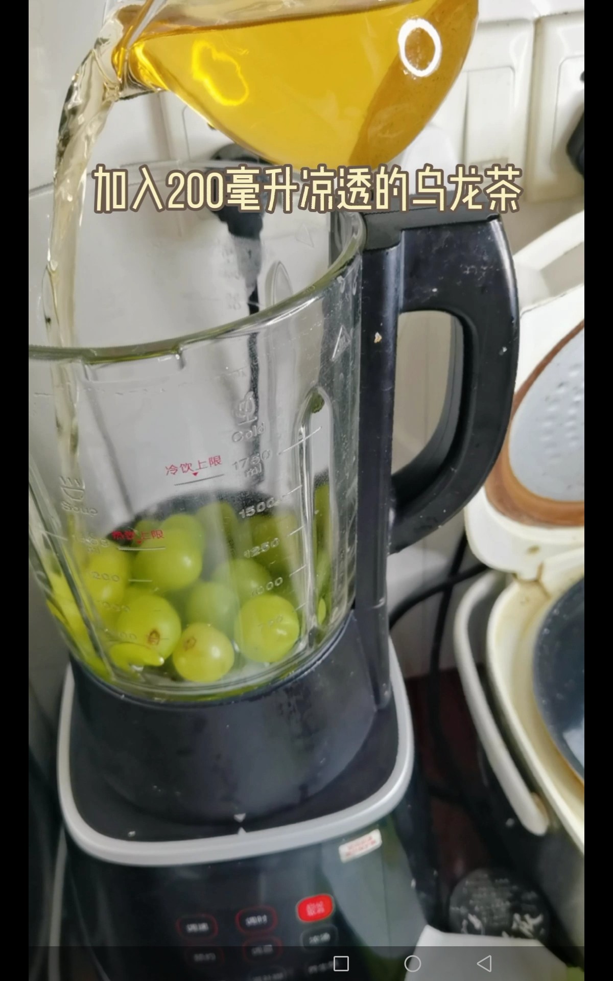 Full Glass of Lactobacillus Grape recipe