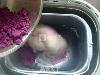 #aca烤明星大赛#purple Sweet Potato Rice Cake recipe