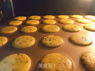 Baby's Healthy Snacks-black Sesame Crackers recipe