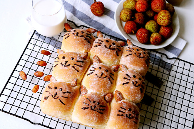 Kitten Squeezes Bread recipe