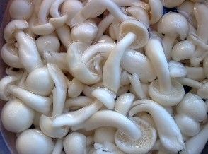 White Jade Mushroom Soup recipe